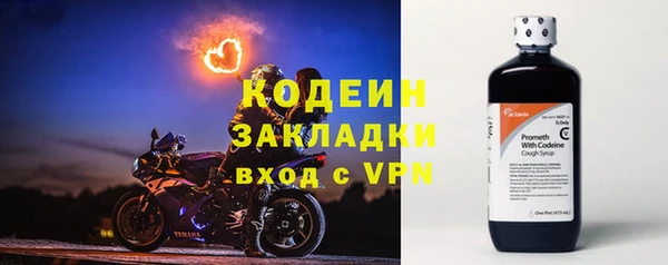 бошки Бородино